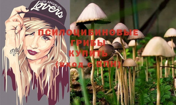 PSILOCYBIN Верхний Тагил