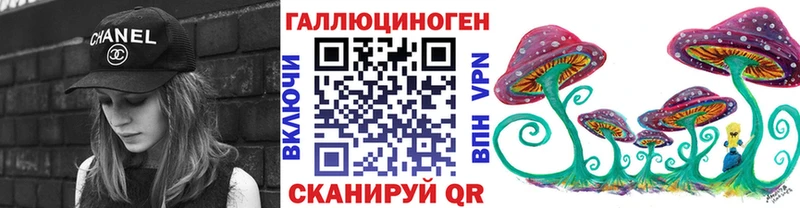 Галлюциногенные грибы Psilocybine cubensis  Завитинск 